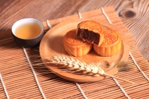 全面解析各种员工福利：企业与工会的福利体系构建指南